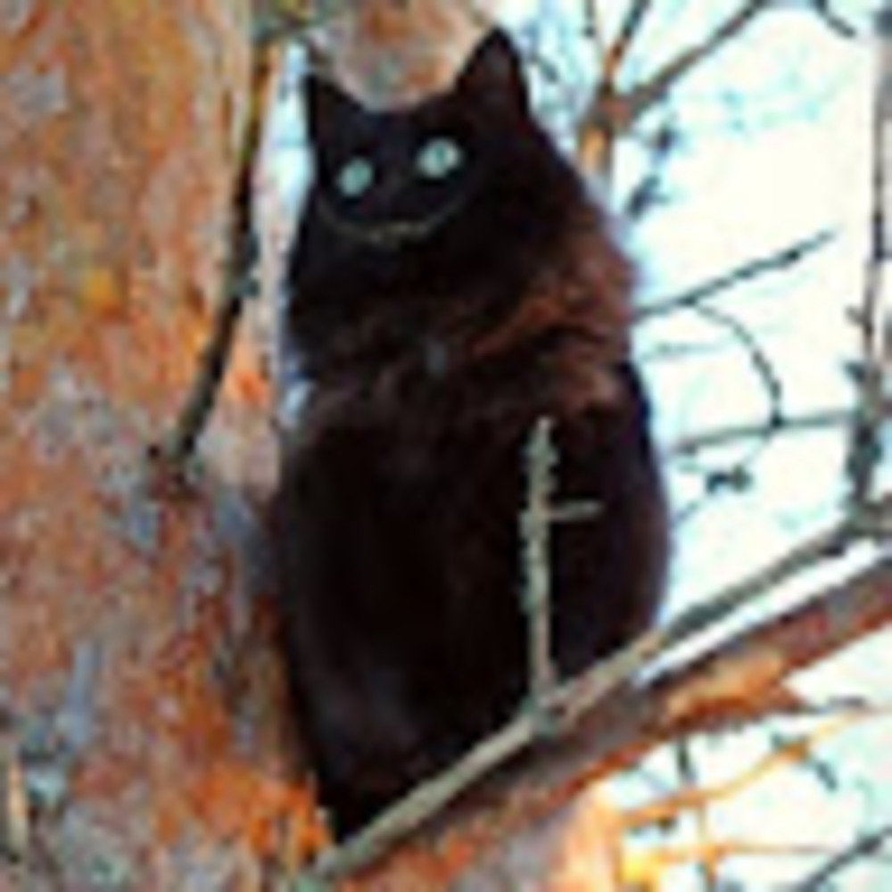 Meet your Posher, Wave